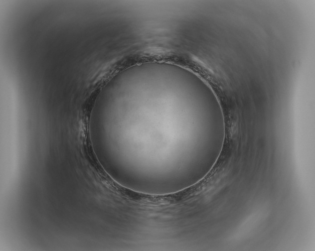 X0000112981397200908271134