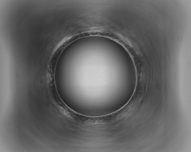 X0000112981400200908271134