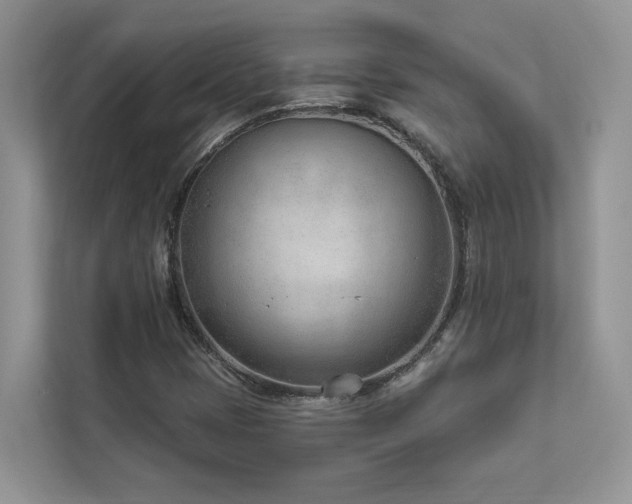 X0000112981401200908271134