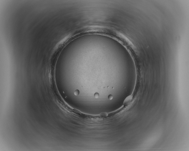 X0000112981403200908271134