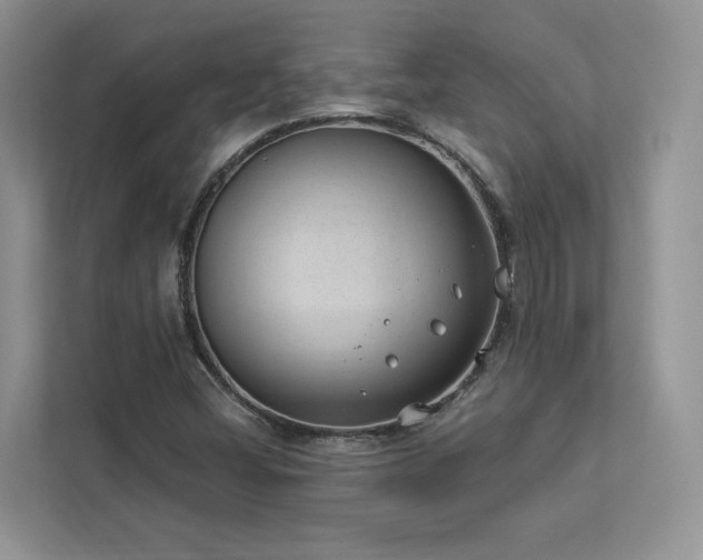 X0000112981404200908271134