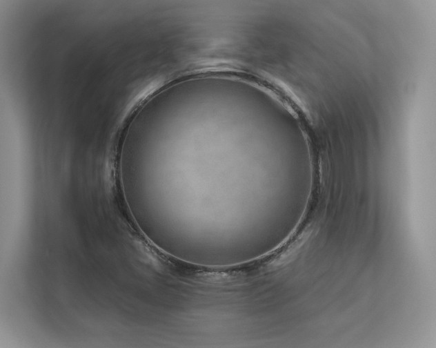 X0000112981405200908271134