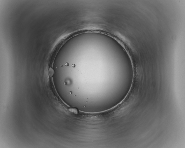 X0000112981408200908271134