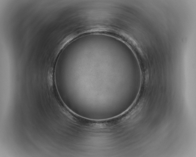 X0000112981409200908271134
