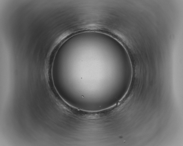 X0000112981410200908271134