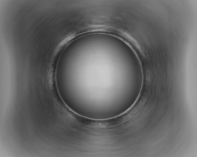 X0000112981411200908271134