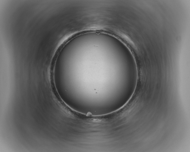 X0000112981412200908271134