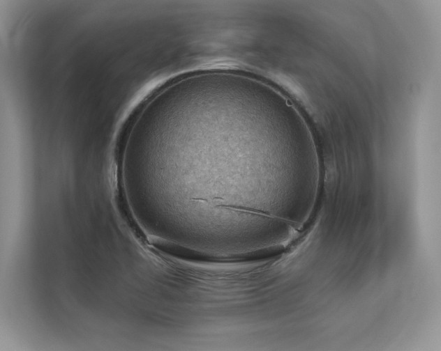 X0000112981414200908271134