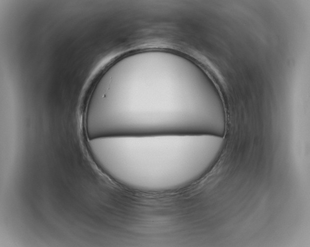 X0000112981416200908271134