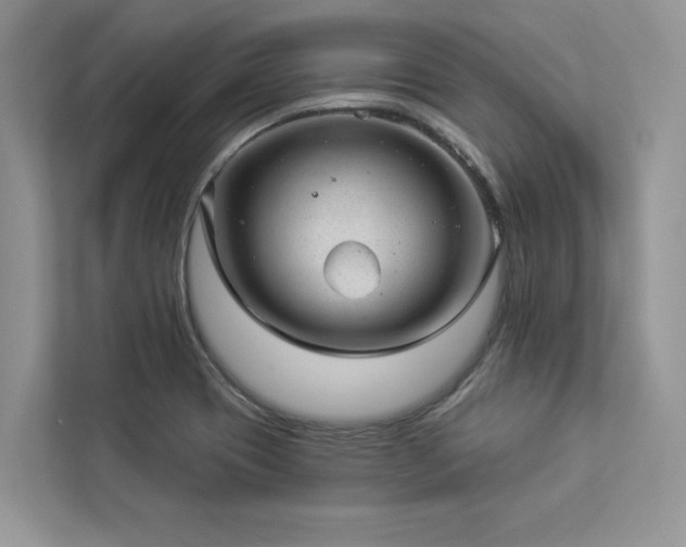 X0000112981417200908271134