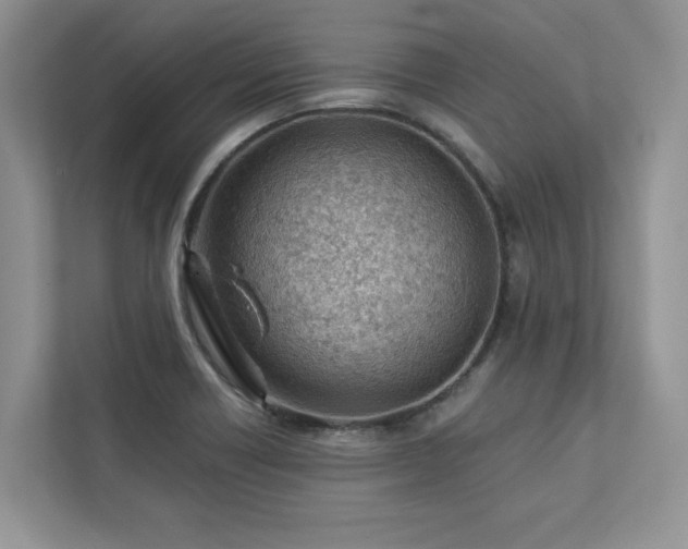 X0000112981418200908271134