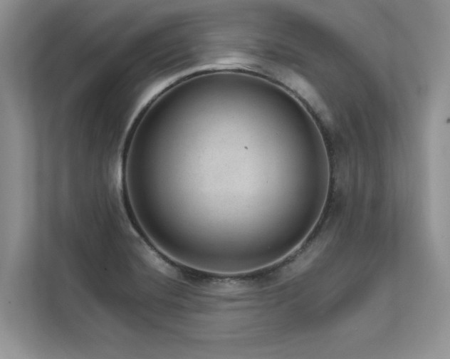 X0000112981420200908271134