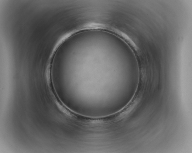 X0000112981421200908271134