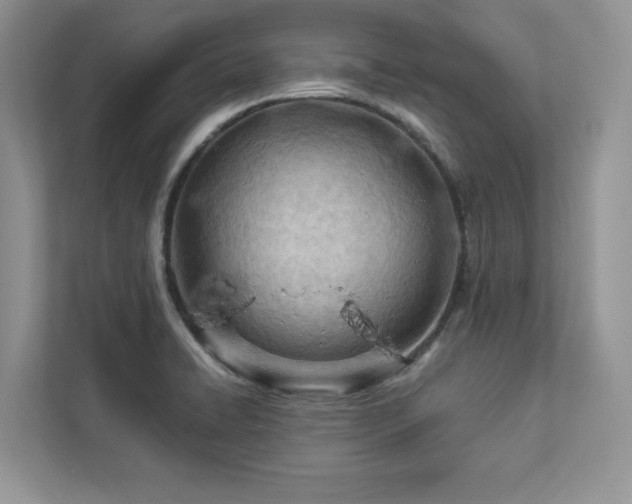 X0000112981422200908271134