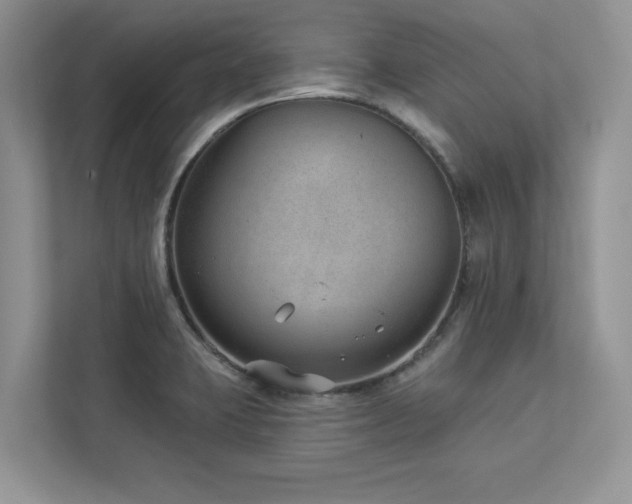 X0000112981423200908271134