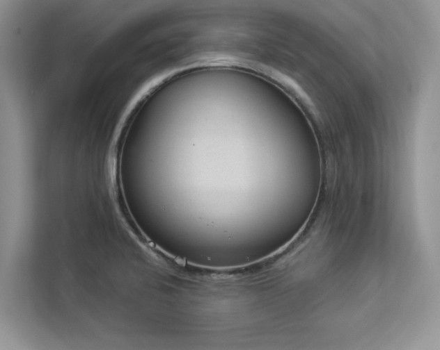 X0000112981424200908271134