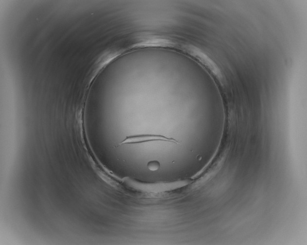 X0000112981425200908271134
