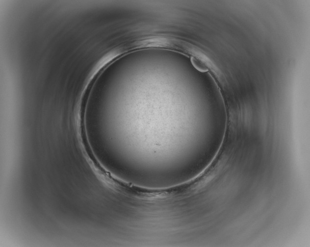 X0000112981426200908271134