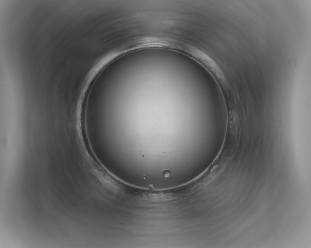X0000112981427200908271134