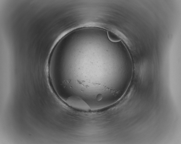 X0000112981428200908271134