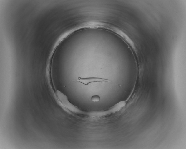 X0000112981429200908271134