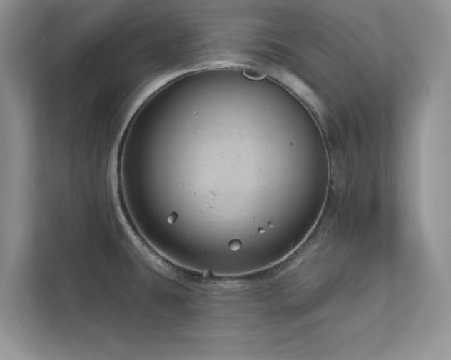 X0000112981431200908271134