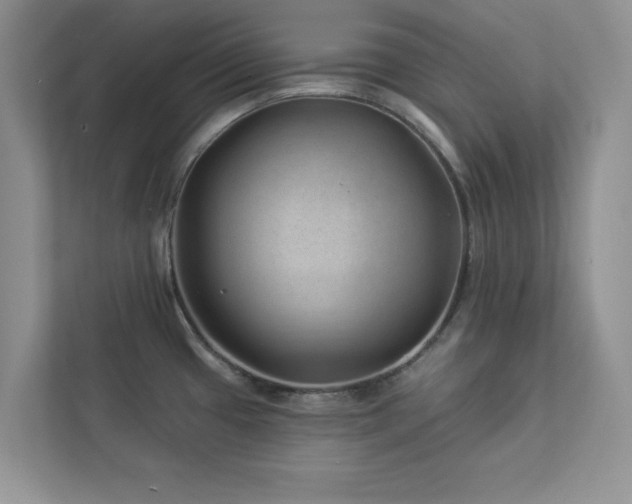 X0000112981433200908271134