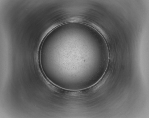 X0000112981434200908271134