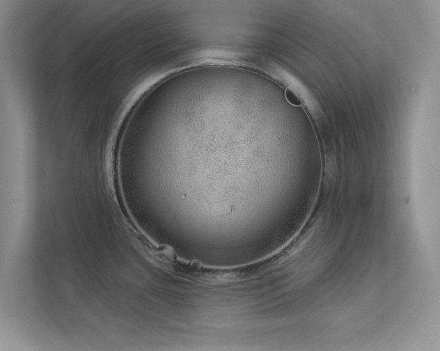 X0000112981435200908271134