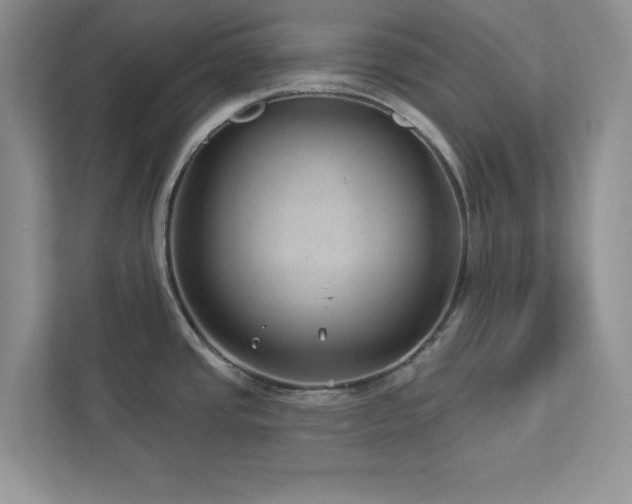 X0000112981437200908271134