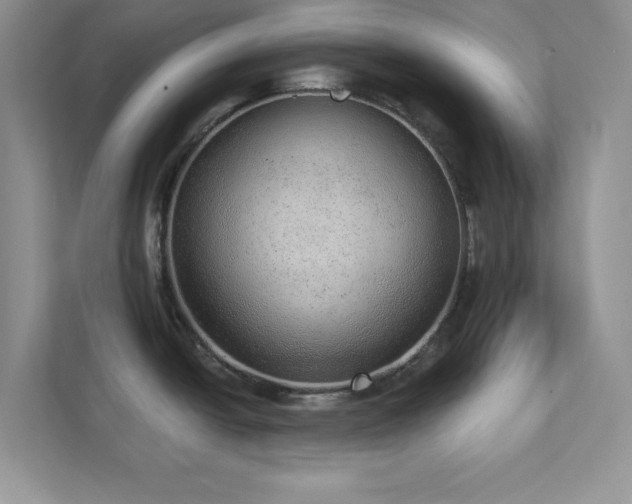 X0000112981438200908271134
