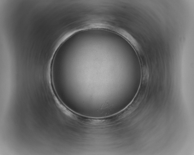 X0000112981439200908271134