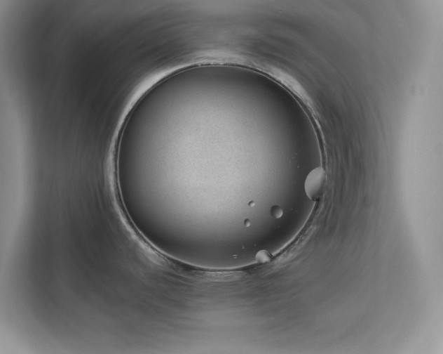 X0000112981440200908271134