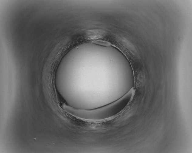 X0000112981441200908271134