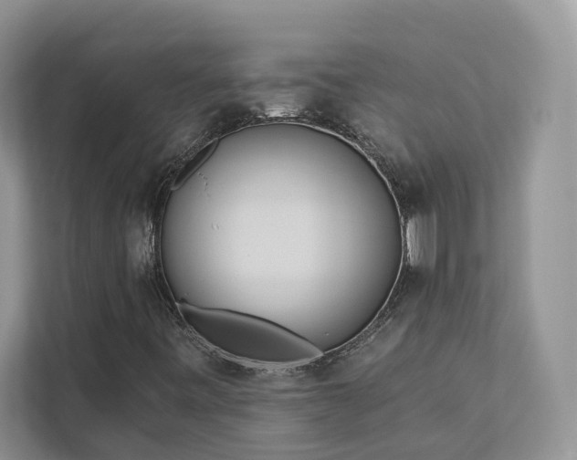 X0000112981443200908271134