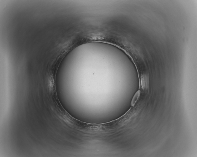 X0000112981444200908271134