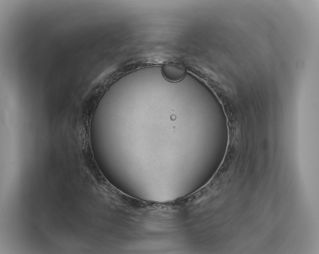 X0000112981446200908271134