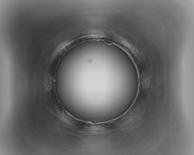 X0000112981448200908271133