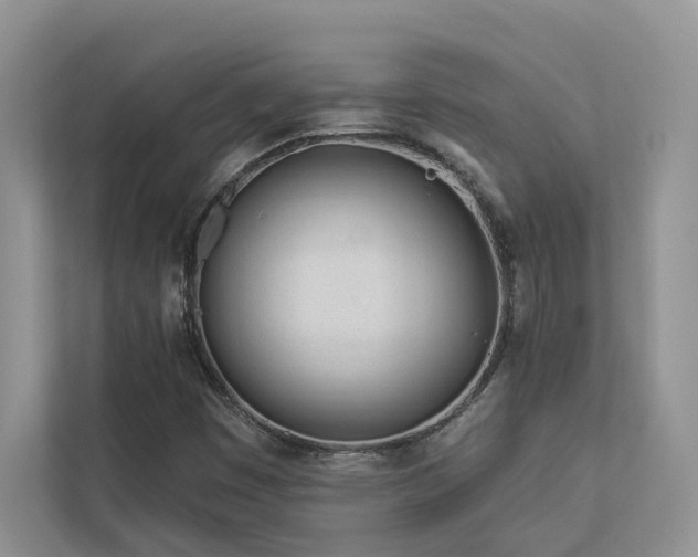 X0000112981449200908271133
