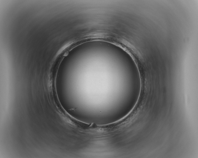 X0000112981450200908271133