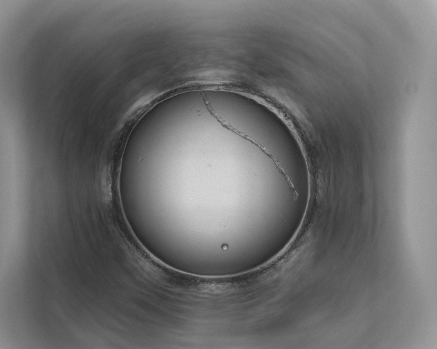 X0000112981451200908271133