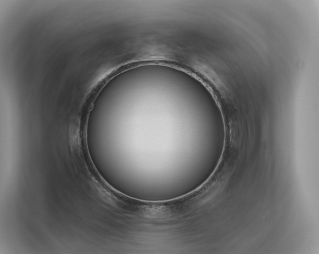 X0000112981452200908271133