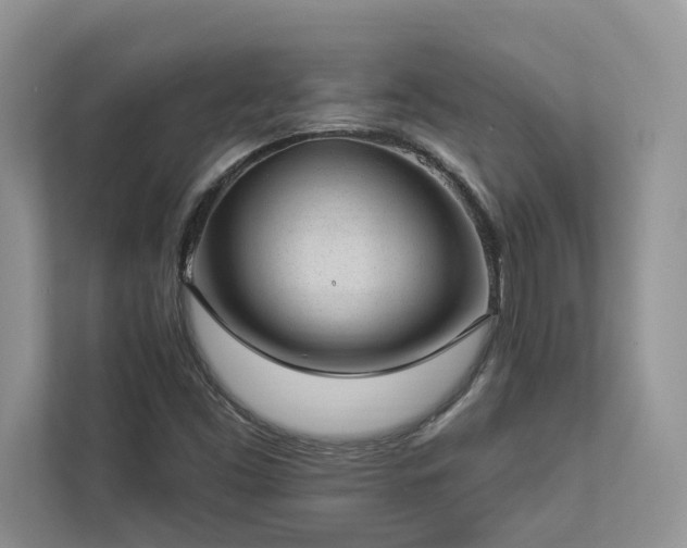 X0000112981453200908271133
