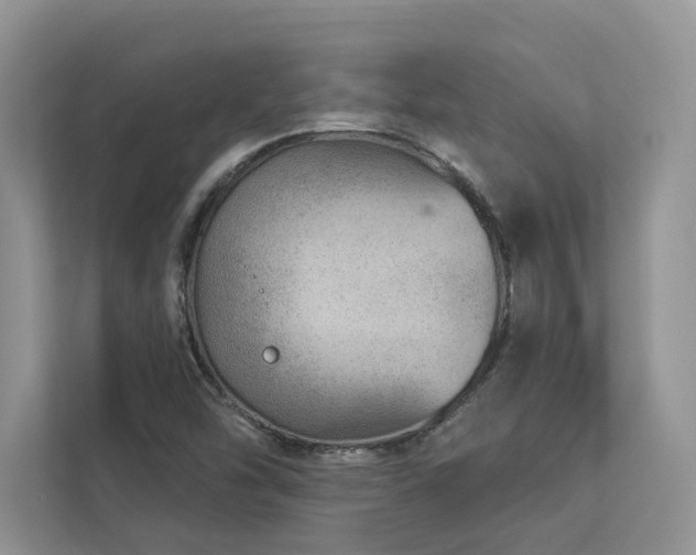 X0000112981454200908271133