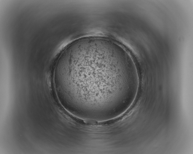 X0000112981455200908271133