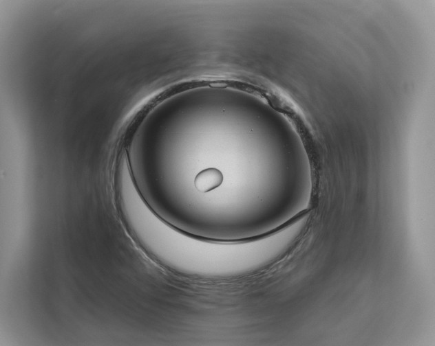 X0000112981456200908271133