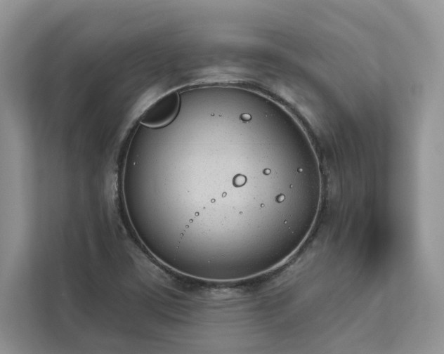 X0000112981459200908271133
