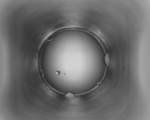 X0000112981460200908271133
