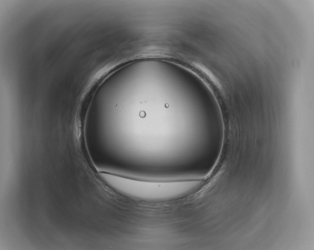 X0000112981461200908271133