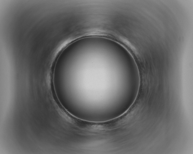 X0000112981463200908271133